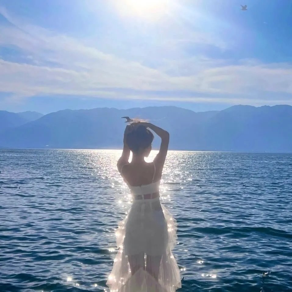 蝴蝶梦海报